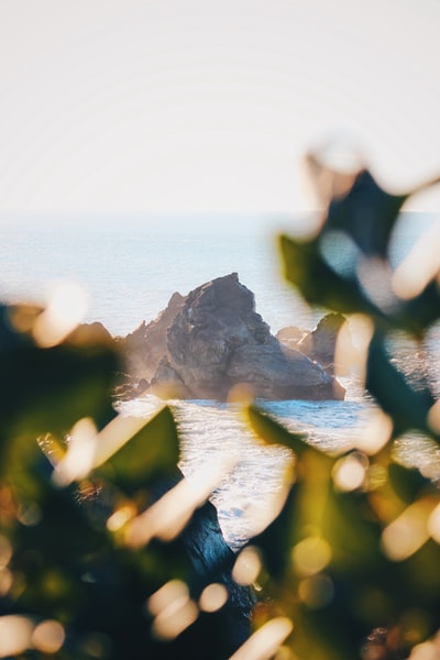 海滩上的褐色岩石